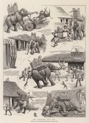 Der Elefant, der es tat